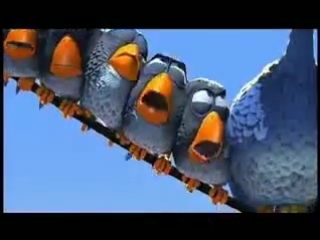 funny birds :)