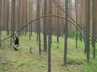 ride on a tree